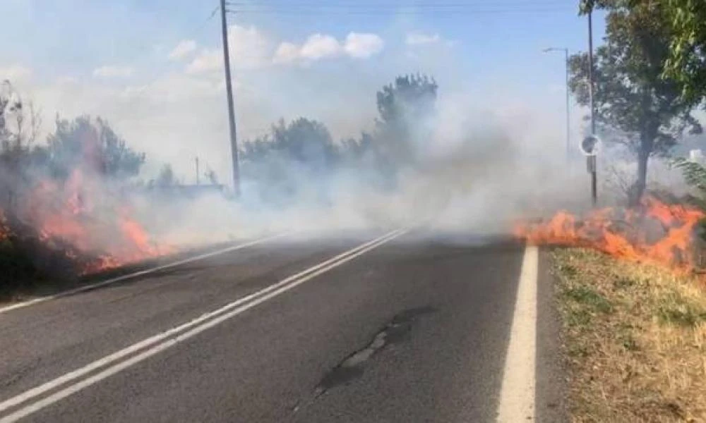 Αν είναι δυνατόν! Τρίπολη: Η 44χρονη έβαζε φωτιές επειδή της άρεσε να βλέπει πυροσβέστες -«Ήθελα να ερωτοτροπώ μαζί τους»